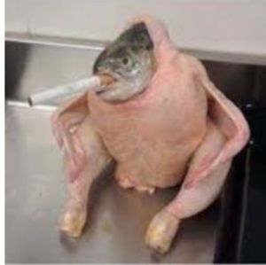 Meet your Posher, Eli